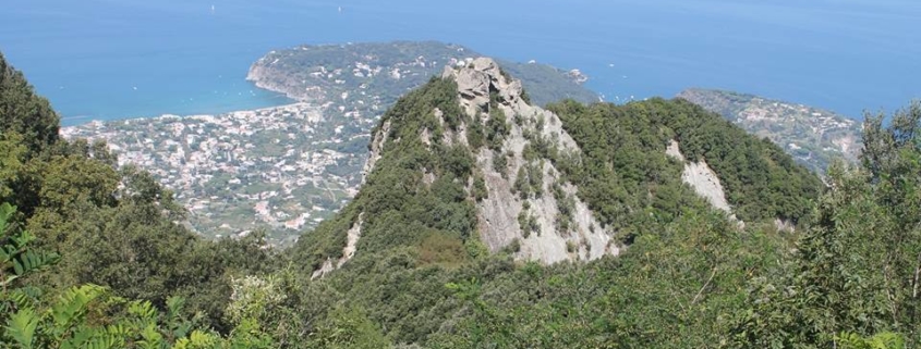 Dalla vetta dell'Epomeo
