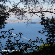 PortoMaddalena Bosco della Maddalena Ischia