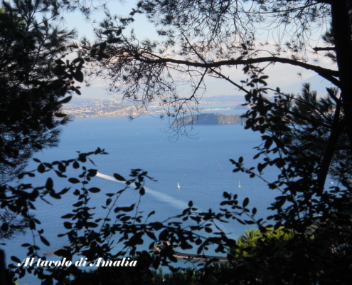 Bosco della Maddalena Ischia
