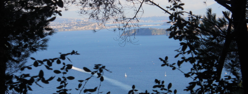 Bosco della Maddalena Ischia
