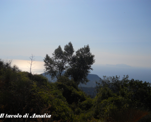 Salendo sull'Epomeo