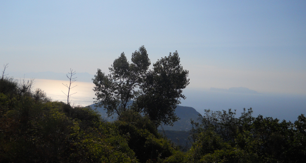 Salendo sull'Epomeo
