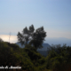 Salendo sull'Epomeo