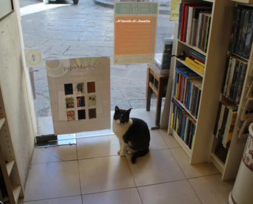 Libreria Imagaenaria Ischia Ponte