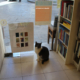Libreria Imagaenaria Ischia Ponte