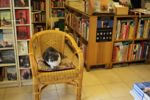 Libreria Ischia Ponte