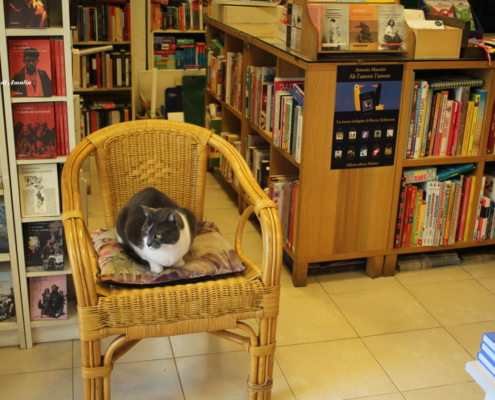 Libreria Ischia Ponte