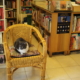 Libreria Ischia Ponte