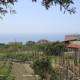 agricoltura Forio Ischia