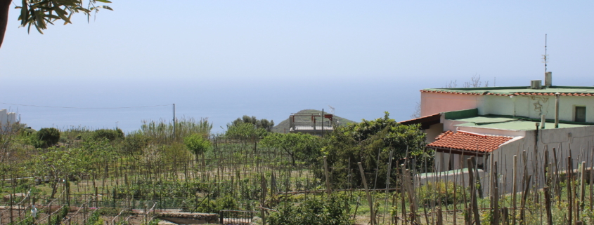 agricoltura Forio Ischia