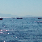 Dal Carcere La Mandra Ischia Ponte