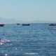 Dal Carcere La Mandra Ischia Ponte