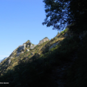 Ischia Falanga