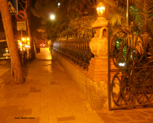 Bar Calise