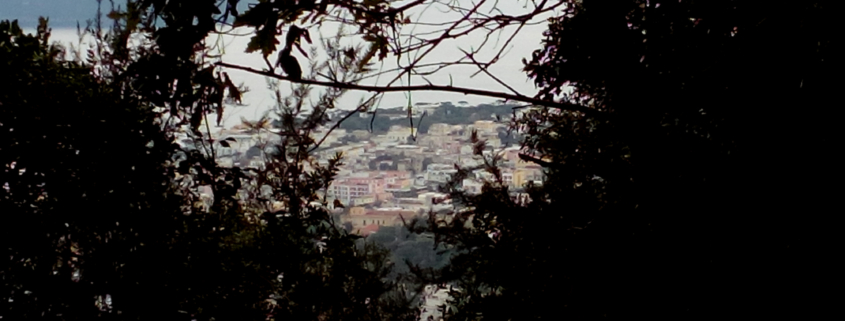 Bosco Maddalena
