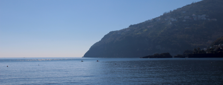 Mare