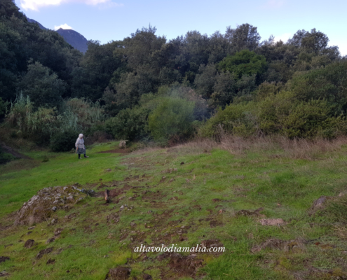 Solitudine
