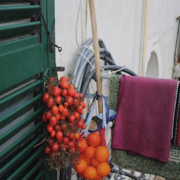 pomodori piennoli