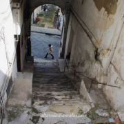Scalone di accesso La Corteglia