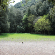 Piazzale Bosco Maddalena Casamicciola