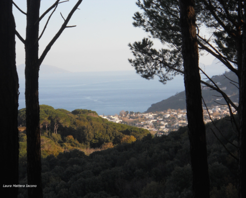 Ischia verde e azzurra