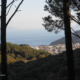 Ischia verde e azzurra