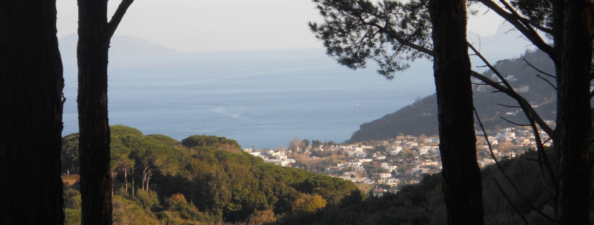 Ischia verde e azzurra