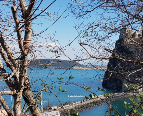 Ischia Cartaromana