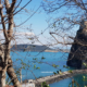 Ischia Cartaromana