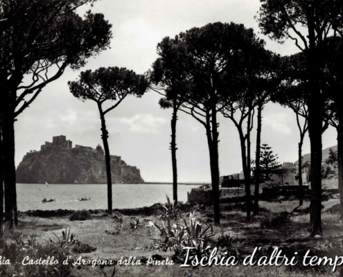 Castello_Pineta_1955