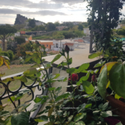 Rosa_25_aprile Ischia 25 aprile