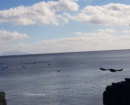 Ischia Ponte