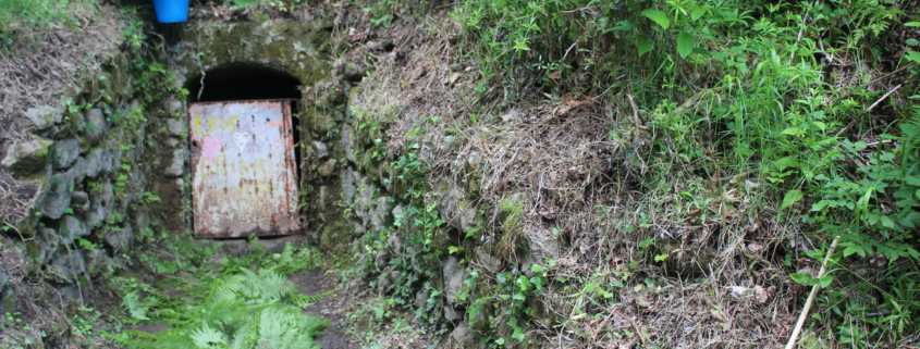 Fonte Buceto Barano Ischia