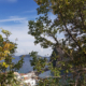 Ischia Ponte