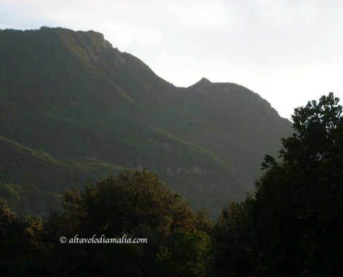 Ischia monte Epomeo
