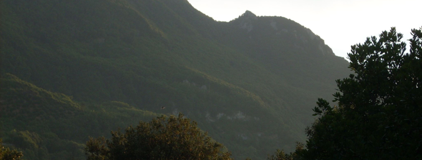 Ischia monte Epomeo