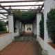 Villa Arbusto Lacco Ameno Ischia