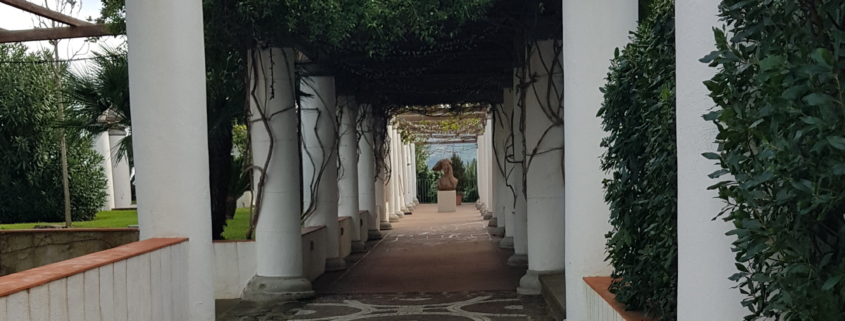 Villa Arbusto Lacco Ameno Ischia