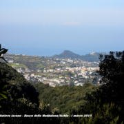 Ischia natura