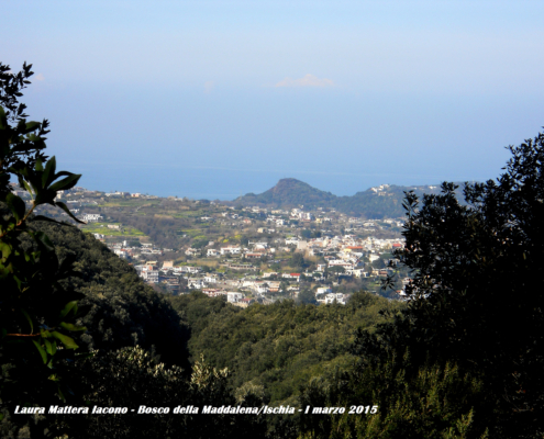 Ischia natura