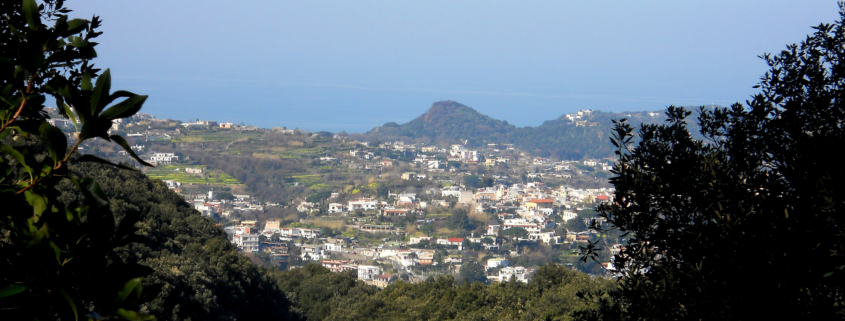 Ischia natura