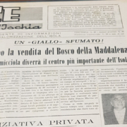 Casamicciola Bosco Maddalena 1960