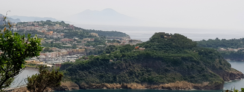 Procida da Vivara