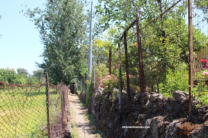 viaProcidano via Procidano