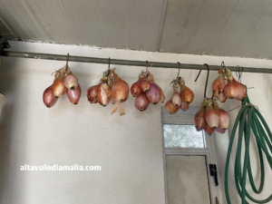 Cipolle appese