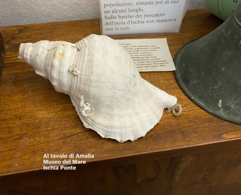 Tofa Museo del Mare Ischia