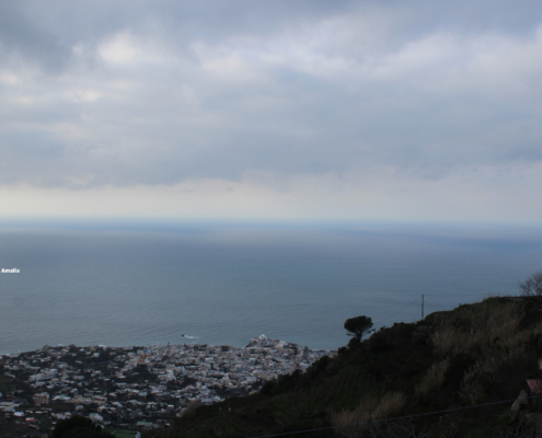 Ischia panorama bosco Falanga
