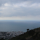 Ischia panorama bosco Falanga