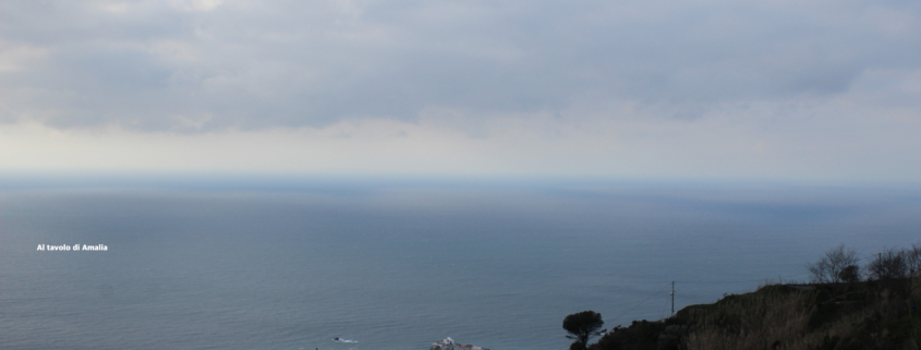 Ischia panorama bosco Falanga