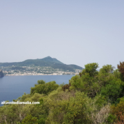 Ischia_daVivara1 Ischia da Procida